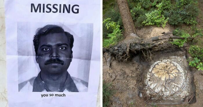 93 Photos That Are So Great, They Became Legends Of The Internet