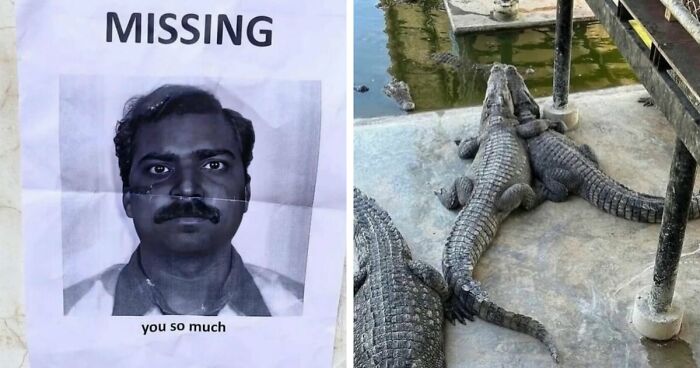 93 Photos That Are So Great, They Became Legends Of The Internet