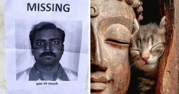 93 Photos That Are So Great, They Became Legends Of The Internet