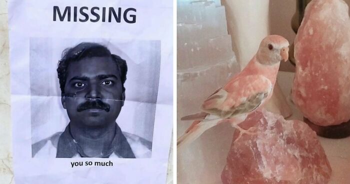 93 Photos That Are So Great, They Became Legends Of The Internet