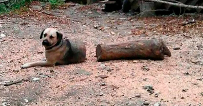 93 Photos That Are So Great, They Became Legends Of The Internet
