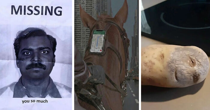 93 Photos That Are So Great, They Became Legends Of The Internet