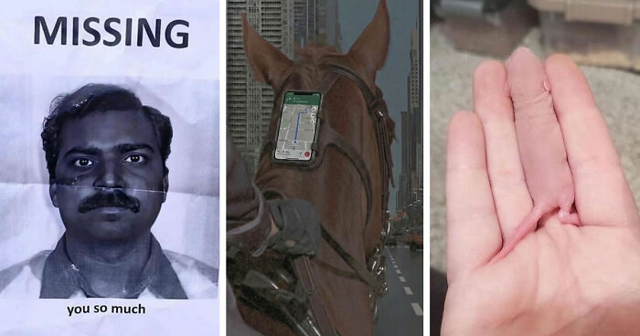 93 Photos That Are So Great, They Became Legends Of The Internet