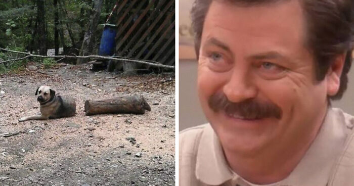 93 Photos That Are So Great, They Became Legends Of The Internet