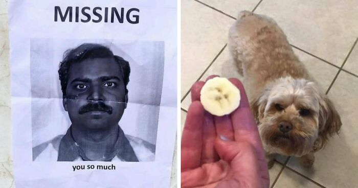 93 Photos That Are So Great, They Became Legends Of The Internet