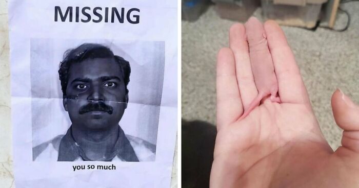 93 Photos That Are So Great, They Became Legends Of The Internet