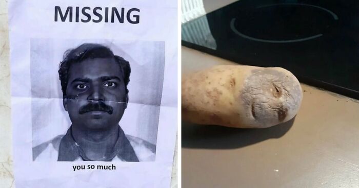 93 Photos That Are So Great, They Became Legends Of The Internet