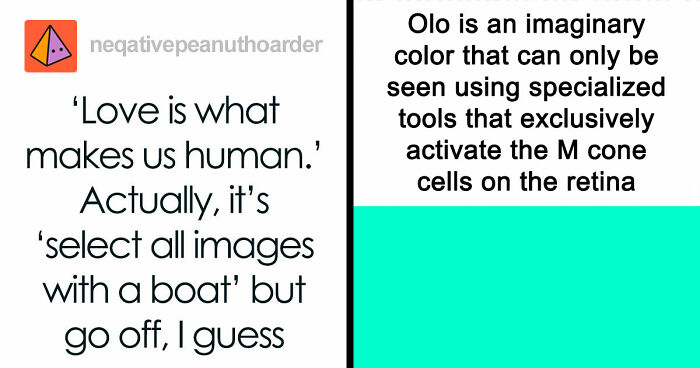 79 Memes That Feel Like A Fever Dream In The Best Way