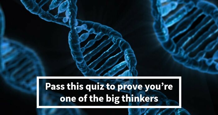“Are You A Great Thinker?”: Pass This 24-Question Culture & Philosophy Quiz To Prove It