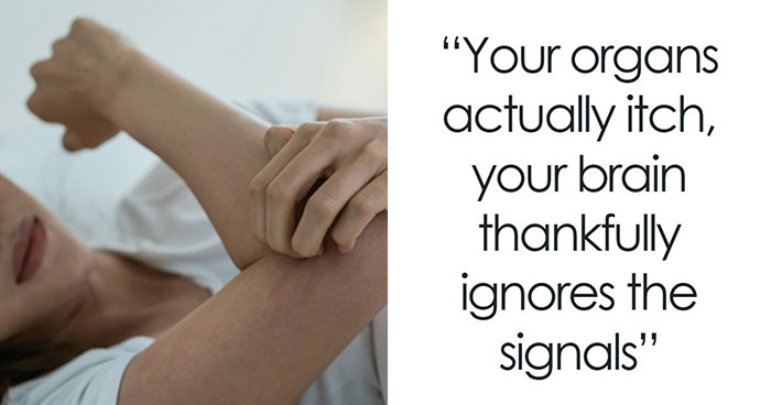 “Your Body Will Simply Give Up”: 38 Human Body Facts That Might Make You Scared To Be Alive