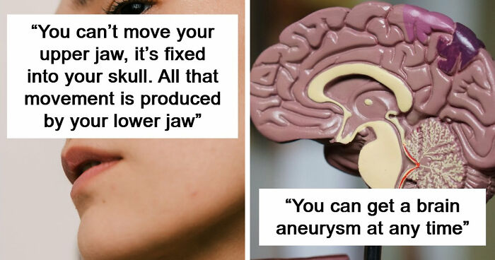 “Your Body Will Simply Give Up”: 38 Human Body Facts That Might Make You Scared To Be Alive