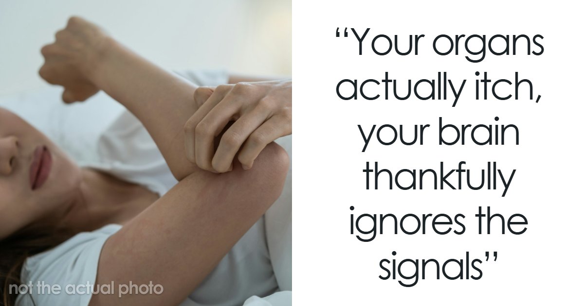 “Your Body Will Simply Give Up”: 38 Human Body Facts That Might Make You Scared To Be Alive