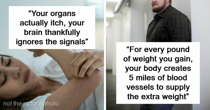 “Your Body Will Simply Give Up”: 38 Human Body Facts That Might Make You Scared To Be Alive