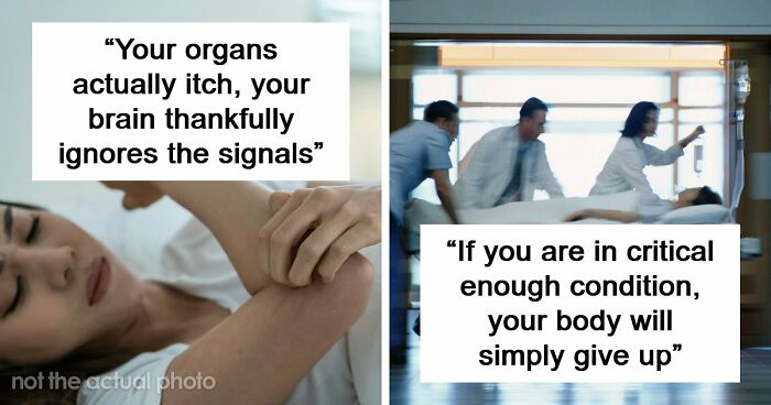 “Your Body Will Simply Give Up”: 38 Human Body Facts That Might Make You Scared To Be Alive