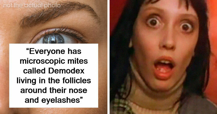 “Your Body Will Simply Give Up”: 38 Human Body Facts That Might Make You Scared To Be Alive