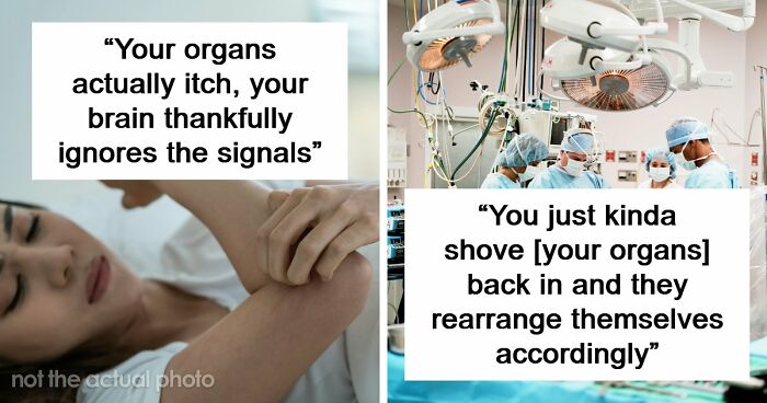“Your Body Will Simply Give Up”: 38 Human Body Facts That Might Make You Scared To Be Alive
