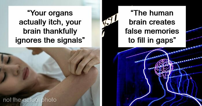 “Your Body Will Simply Give Up”: 38 Human Body Facts That Might Make You Scared To Be Alive