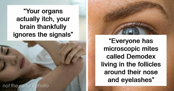“Your Body Will Simply Give Up”: 38 Human Body Facts That Might Make You Scared To Be Alive