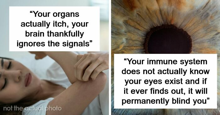 “Your Body Will Simply Give Up”: 38 Human Body Facts That Might Make You Scared To Be Alive