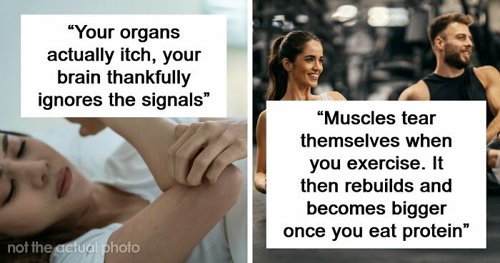 “Your Body Will Simply Give Up”: 38 Human Body Facts That Might Make You Scared To Be Alive