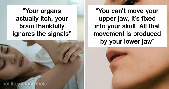 “Your Body Will Simply Give Up”: 38 Human Body Facts That Might Make You Scared To Be Alive