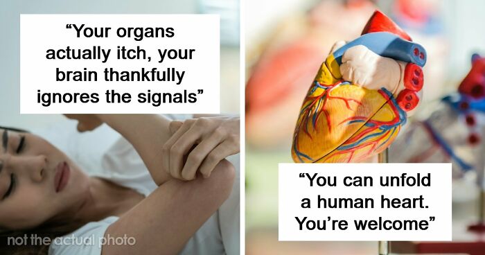 “Your Body Will Simply Give Up”: 38 Human Body Facts That Might Make You Scared To Be Alive