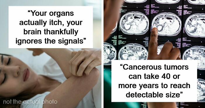 “Your Body Will Simply Give Up”: 38 Human Body Facts That Might Make You Scared To Be Alive