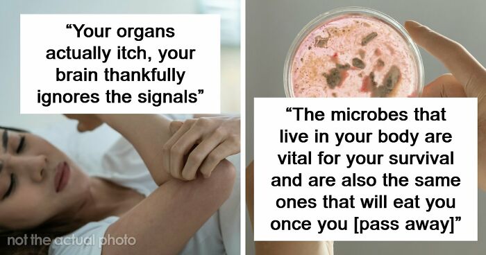 “Your Body Will Simply Give Up”: 38 Human Body Facts That Might Make You Scared To Be Alive