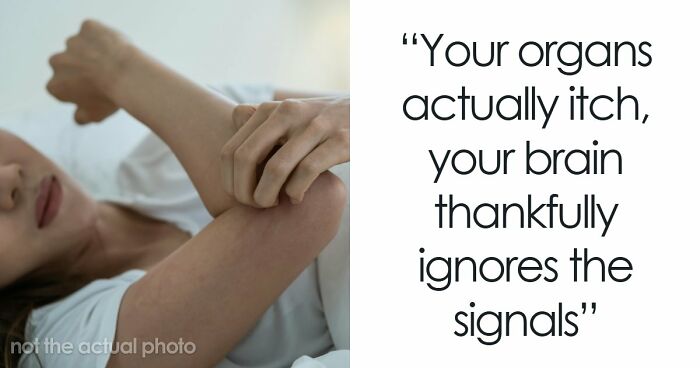 “Your Body Will Simply Give Up”: 38 Human Body Facts That Might Make You Scared To Be Alive