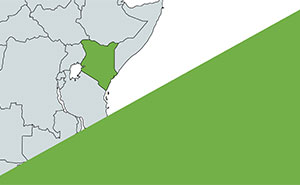 “Is It Peru Or Brazil?”: Prove Your Geography Skills With These 27 Rotated World Maps