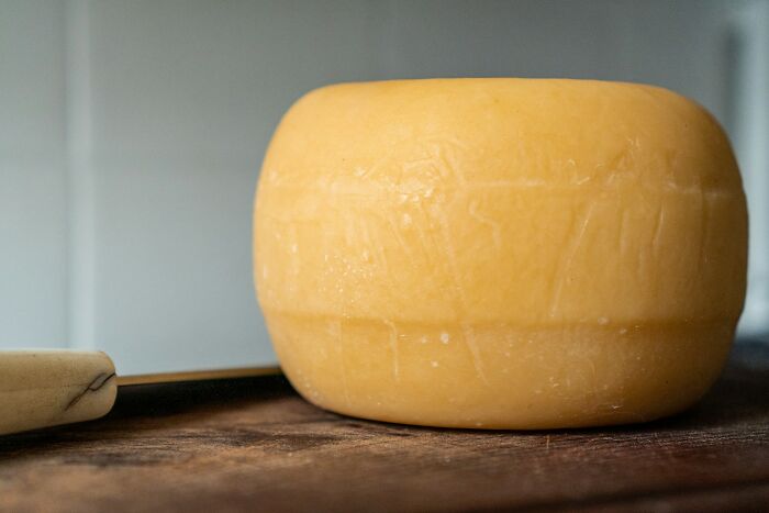 A large wheel of yellow cheese on a wooden surface, suggesting strange jobs in food.