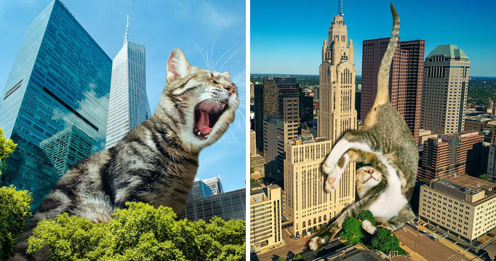 Artist Imagines Surreal Parallel Universe Where Giant Cats Reign, And Here Are 30 New Pieces
