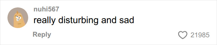 A comment describing the Bonnie Blue baby shower as really disturbing and sad, reflecting guest secrets.