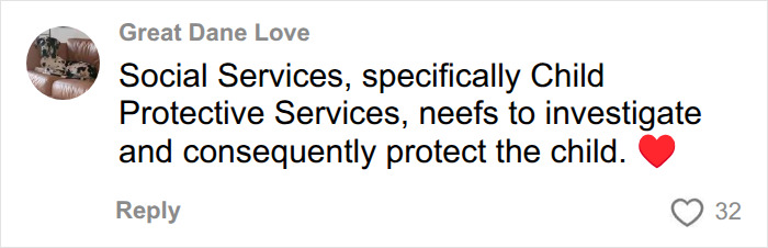 A comment suggesting Child Protective Services investigate the Bonnie Blue's baby shower secrets.