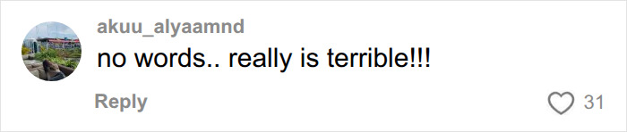 A comment expressing dismay about the Bonnie Blue's baby shower exposed secrets.