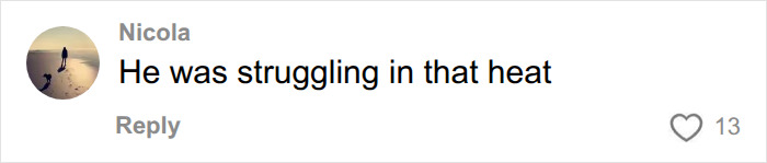 A comment stating Harry Styles was struggling in the heatwave before collapsing onstage.
