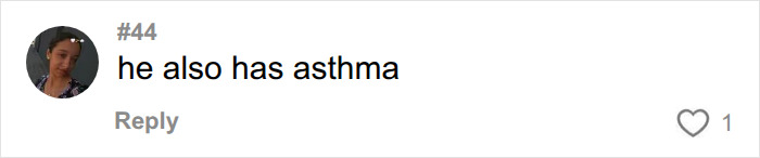 Harry Styles collapsing onstage from choking on water during a scorching heatwave, likely due to asthma.