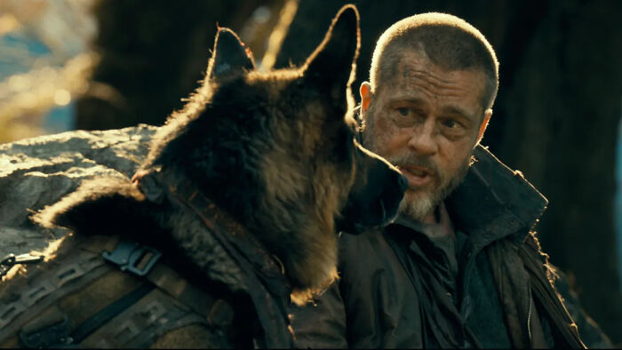 Brad Pitt talking to German shepherd dog in survival movie scene