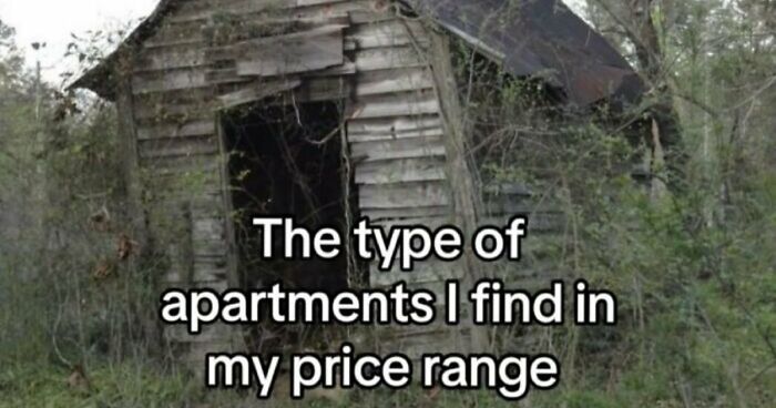 57 Pics That May Crack You Up If Your Sense Of Humor Is Funny And Unhinged Screenshots (New Pics)