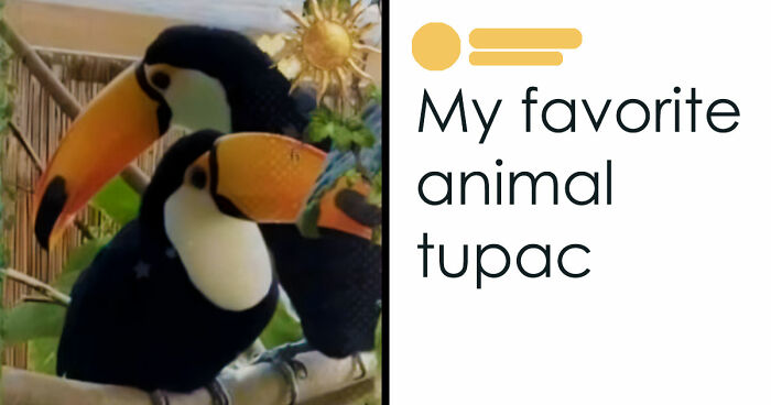 49 Of The Funniest And Most Unhinged Comments On TikTok