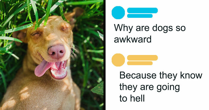 49 Of The Funniest And Most Unhinged Comments On TikTok