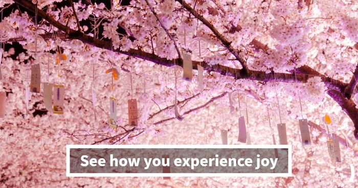 Joy Is Personal – These 27 Questions Reveal What It Looks Like In Your Life