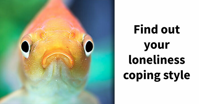 “Are You Actually Comfortable Being Alone?”: Take This 27-Question Quiz To Find Out