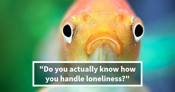 “Are You Actually Comfortable Being Alone?”: Take This 27-Question Quiz To Find Out