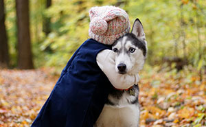 18 Human Habits That Confuse Dogs The Most, According To An Animal Behaviorist