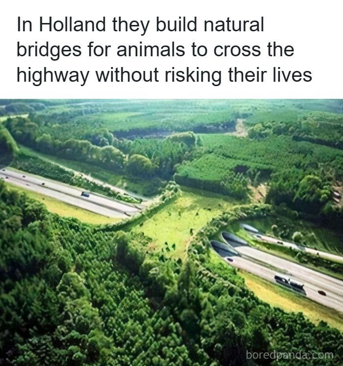 An aerial view of a natural bridge over a highway for animals, a soul-healing conservation effort.