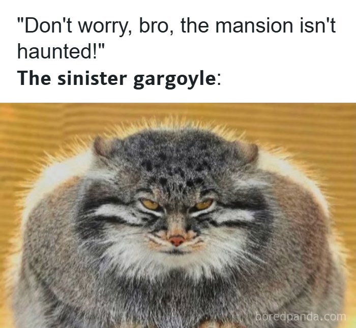 A meme featuring a fluffy, grumpy-looking cat as a sinister gargoyle, contributing to the collection of fever dream memes.