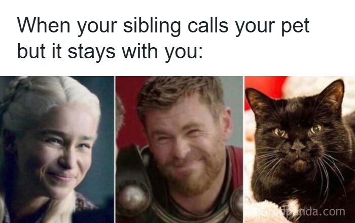 Humorous meme about sibling calling pet but pet stays with you featuring TV characters