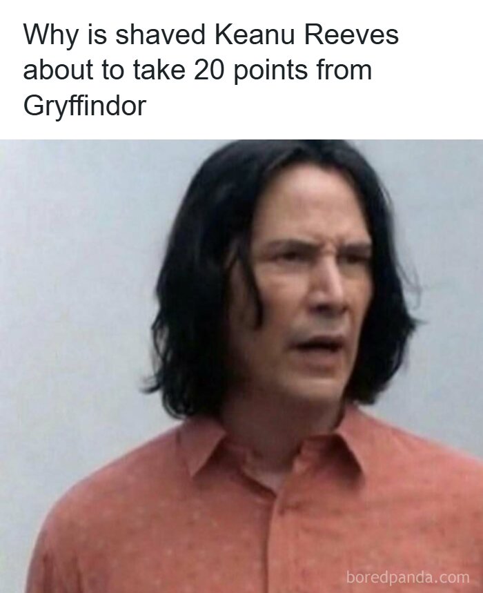 Funny silly meme about shaved Keanu Reeves and Harry Potter points