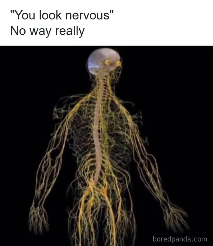Nervous skeleton meme with nervousness humor from random sense humor posts